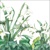  SNOWDROPS, Ambiente