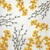  CATKINS AND FORSYTHIA, Paw