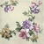 ELEGANT GARLAND champagne, Paw