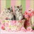 CATS IN BOX, Ambiente
