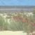  DUNES, Ambiente