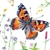 SMALL TORTOISESHELL BUTTERFLY, Maki