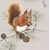 SQUIRREL IN WINTER, Ambiente