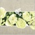 LOVELY ROSES gelb 40x40 Linclass, Mank