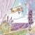 DESSUS DES NUAGES, Sweet Pac