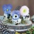  FLOWER IN EGGS, Ambiente