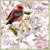 VINTAGE BIRD, Nouveau