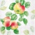 GARDEN APPLE, Paw