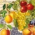  AUTUM FRUIT, Ambiente