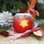 APPLE, Ambiente