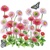 BELLIS, Ambiente