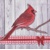 CARDINAL, Ambiente
