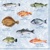 FISHES, Ambiente