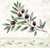 OLIVE BRANCH, Ambiente
