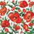 FLANDERS POPPY, Paw