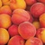 AROMA : PEACH & MANGO, Paw