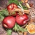 WINTER  APPLES, Ambiente