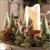 ANIMAL FIGURES, Ambiente
