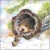 NEW FRIEND 25x25, Ambiente