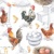 25x25 CHICKEN FARM, Ambiente