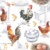 13x21 CHICKEN FARM, Ambiente