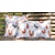 34x34 CHICKEN FARM, Ambiente