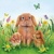  25x25 RABBIT FAMILY, Ambiente