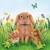 RABBIT FAMILY, Ambiente