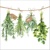 FRESH HERBS, Ambiente