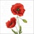 PROUD POPPY, Ambiente