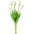 tulipány