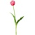 tulipány