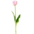 tulipány