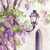 LANTERN AMONG WISTERIA BLOOM, Ti-Flair