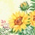 SUNFLOWER 0,40x24, DUNI