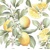 13x21 LIMONI, Ambiente