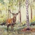 WILD DEAR, Home Fashion