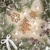 GINGERBREAD TREE WITH SUGAR PEARLS, Maki