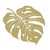MONSTERA gold, Ambiente