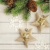 ECO STARS, Paw