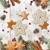 COOKIES STARS, Ambiente