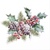  HOLLY AND BERRIES,  Ambiente