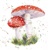 PAINTED FLY AGARIC, Ambiente