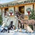 ANIMAL FRIENDS, Ambiente