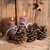 WINTER CANDLES, Ambiente