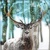  WINTER DEER, Ambiente