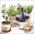 WINE & HERBS, Ambiente