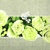 LOVELY ROSES gelb  33x33, Mank