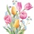 18x30 TULIPS BOUQUET, Ambiente