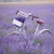  BIKE IN LAVENDER FIELD, Ambiente